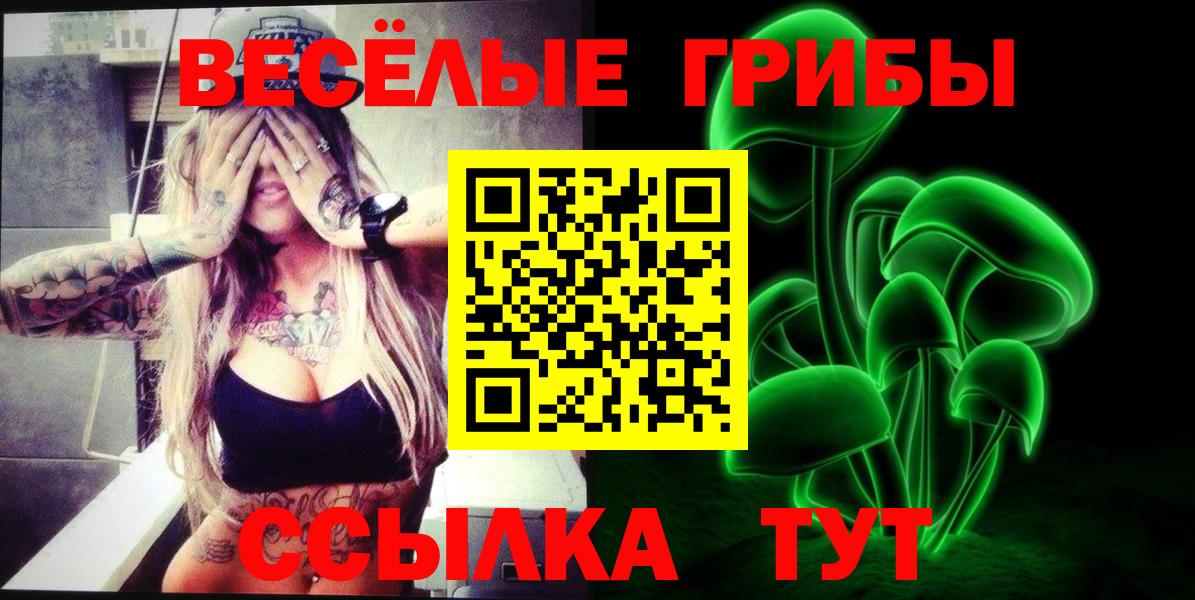 Галлюциногенные грибы Psilocybe  Галлюциногенные грибы Psilocybe  Электрогорск  Вход с VPN 