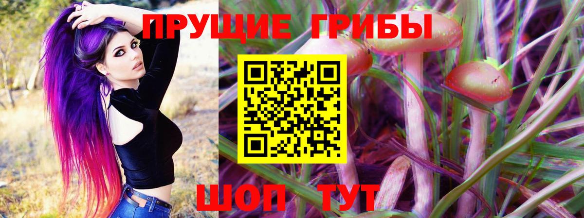 Галлюциногенные грибы ЛСД Электрогорск